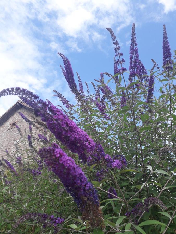B&B Buddleja Saint-Hilaire-les-Places 외부 사진